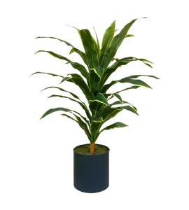 Yapay Çiçek Kiralama