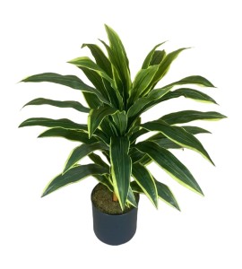 Yapay Çiçek Kiralama