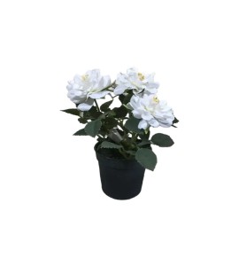 Yapay Çiçek Kiralama