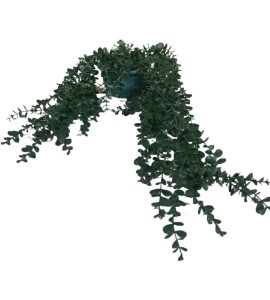 Yapay Çiçek Kiralama