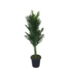 Yapay Çiçek Kiralama