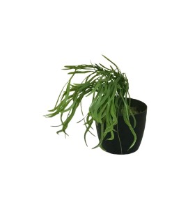 Yapay Çiçek Kiralama