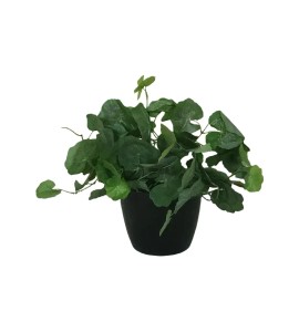 Yapay Çiçek Kiralama