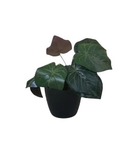 Yapay Çiçek Kiralama