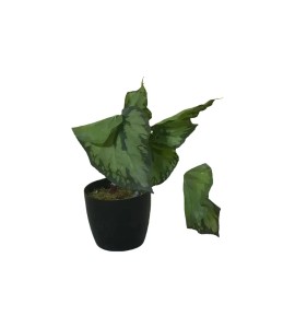 Yapay Çiçek Kiralama