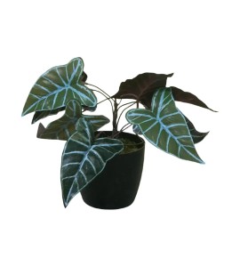 Yapay Çiçek Kiralama