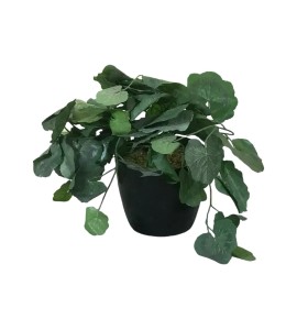 Yapay Çiçek Kiralama