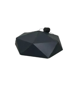 Siyah Avize Kiralama