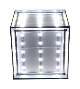 Lightbox Küp Kiralama 50x50x50