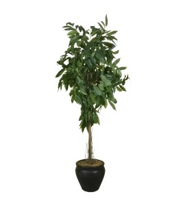 Bistro Masa Takımı ve Beyaz Fox Sandalye Kiralama