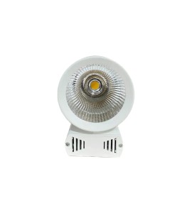 Beyaz Ray Spot Kiralama