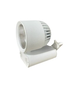 Beyaz Ray Spot Kiralama