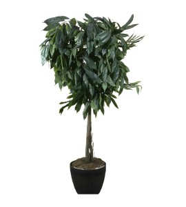 Yapay Ağaç Kiralama