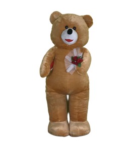 Kahverengi Peluş Ayı Kiralama